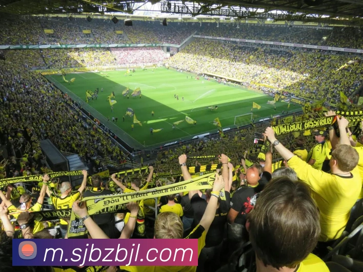 百家乐网站APP 体育赛事宣传图